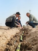 试种黄皮金翠甘蔗 激活连队集体经济