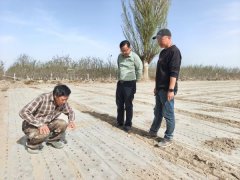 七团：春播正当时 指导暖田头