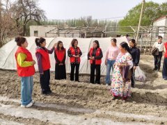 聚焦庭院卫生，共筑健康家园