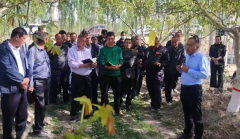 走进田间听民声 履职调研助振兴