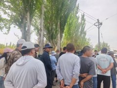 农技指导到田间 科学管护促丰收