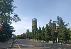 春染新兴铸管武安本级，绿润 2672 芳华