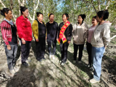 文明新风进万户，移风易俗谱乡村华章