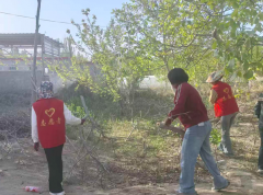 情暖帕万拉·志愿助农忙