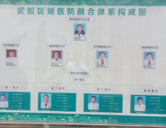 新医防融合机制，做实公共卫生服务      ---瑞昌市总医院武蛟分院院医防融合工作纪实