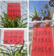 鲁史镇永新中心学校：劳润童心，行践美德