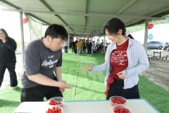 以团聚力 以缘相逢  ——二团团委开展青年联谊主题活动