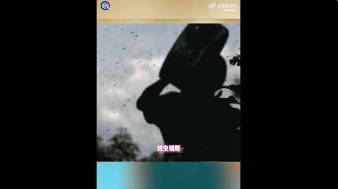 【健康小课堂】蚊虫猖獗季，防护别大意！