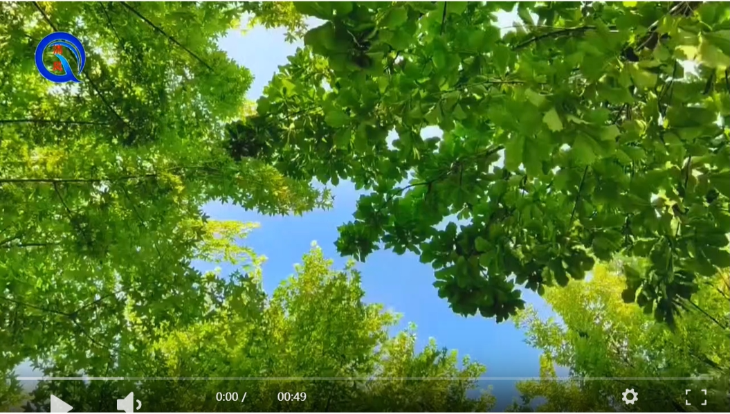 预防溺水，从我做起