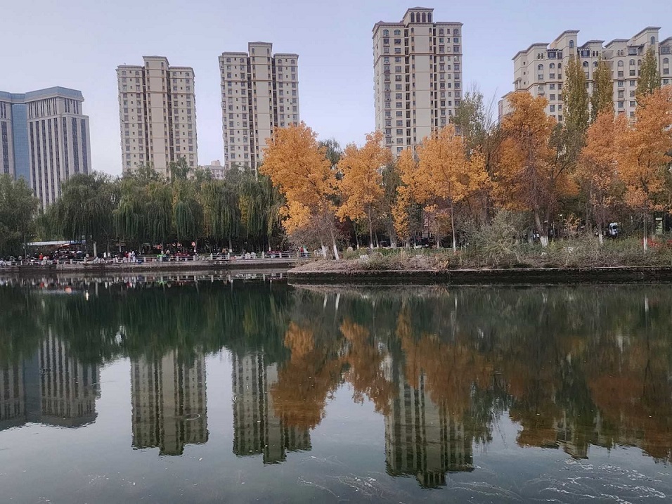 新疆阿克苏市：湿地公园 秋景如画