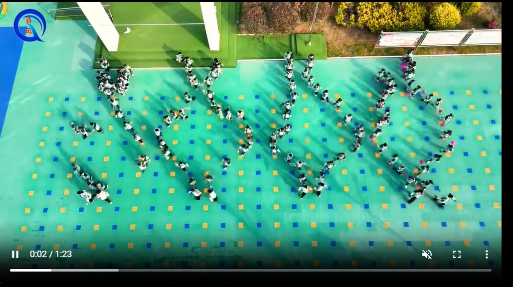 枣阳市兴隆镇中心幼儿园中大班幼儿队列队形展示